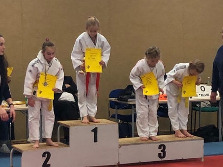 7. Judo-Pokalturnier des SFV Holthusen