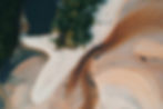 pexels-pok-rie-33563-1277018.jpg
