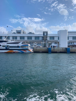 IMG_20201113_203454_830