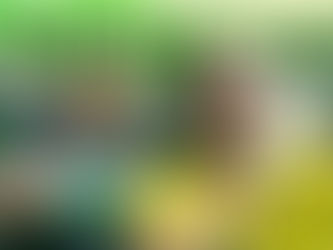 MEIA MARATONA INTERNACIONAL DO RIO D E JANEIRO