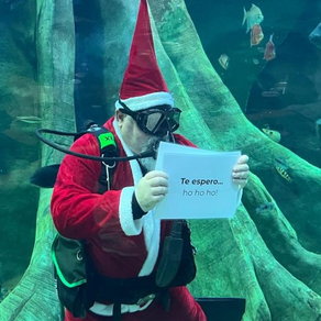 Com Papai Noel mergulhador, Bioparque Pantanal anuncia programação especial de dezembro