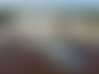 Movimentação de produtos por Porto Murtinho deve ser recorde neste ano superando 700 mil toneladas