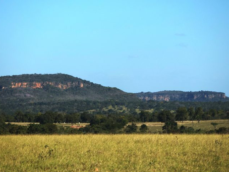 Quinta-feira tem previsão de tempo estável e temperaturas mais amenas em MS