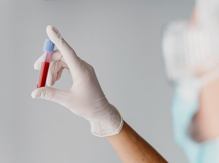 Hantavírus: infectologista da HU Brasil explica transmissão, sintomas e prevenção