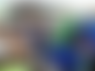 MS se torna referência no Brasil e América Latina com hospital veterinário de excelência para animai