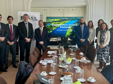 Governo de MS apresenta Lei do Pantanal para executivos, ONGs e autoridades da União Europeia