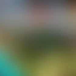 Prefeitura divulga dias e horários especiais de funcionamento da Feira Municipal