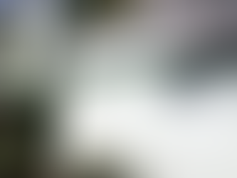 Jucems registra abertura de 1.022 novas empresas no Estado em junho; no ano saldo é de 6.893