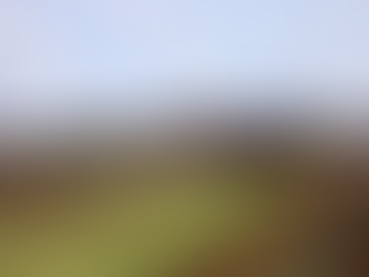 Governo de MS concede benefÃcio fiscal para incentivar a expansão da citricultura no Estado