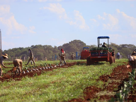 Governo de MS concede benefÃcio fiscal para incentivar a expansão da citricultura no Estado