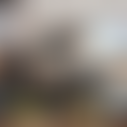 Prefeitura vistoria mais 1.560 imóveis e alerta que Chikungunya exige mobilização popular