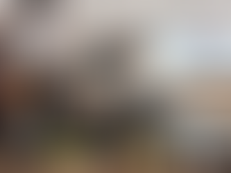 Prefeitura vistoria mais 1.560 imóveis e alerta que Chikungunya exige mobilização popular