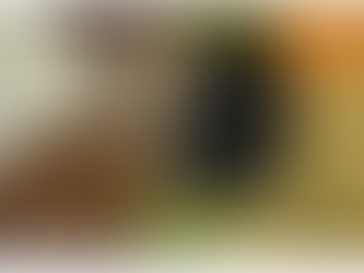 Exportações brasileiras de pulses crescem 30% em 2025