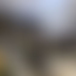 Prefeitura capacita profissionais para emissão do Habite-se Autodeclaratório