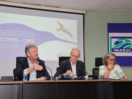 Espécies migratórias: COP15 em MS vai atrair milhares de especialistas de mais de 100 países em março