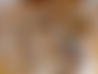 Artesanato indígena de Mato Grosso do Sul é valorizado na Casa do Artesão e em feiras nacionais