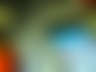 Mercado financeiro projeta inflação de 5,51% este ano