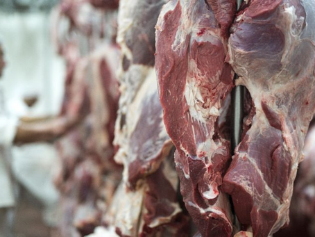Exportações de MS somam US$ 7,24 bilhões até agosto e carne bovina cresce 43,7% no acumulado do ano