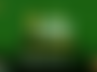 Corrida celebra os 20 anos da UFGD com mais de 800 participantes neste domingo