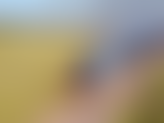 Sustentabilidade: Governo de MS moderniza controle de queimadas e fortalece prevenção a incêndios florestais