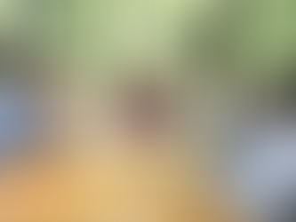 Com apoio do Governo, Coamo anuncia R$ 500 milhões para ampliar indústria e construir novos armazéns