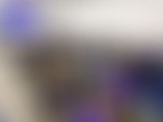 Estado cria Fórum Permanente para fortalecer políticas públicas para mulheres em MS