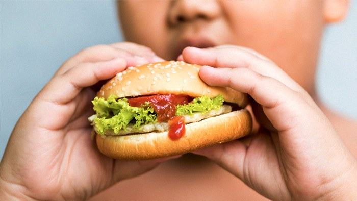 SES destaca a importância da vigilância nutricional, da alimentação saudável e da atividade física para garantir o desenvolvimento adequado das crianças