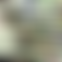 Reajuste de remédios fica abaixo da inflação e será o menor dos últimos oito anos