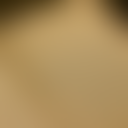 Em homenagem ao Mato Grosso do Sul, Arquivo Público Estadual faz exposição sobre os símbolos estaduais