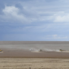 Motor de MS: agronegócio deve puxar PIB do Estado, com previsão de crescer 5,5% neste ano