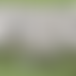 Livre de aftosa sem vacina: status histórico é mais uma ferramenta de MS para ampliar mercados na Ásia