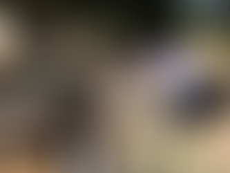 Município investiga mais uma morte por Chikungunya em Dourados