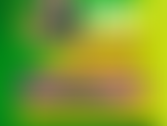 UEMS convoca para matrícula classificados na Chamada Regular do SiSU 2026