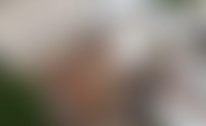 Câmara instaura processo administrativo e suspende contrato com construtora