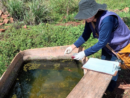 Quarta morte por chikungunya nas aldeias é registrada em Dourados