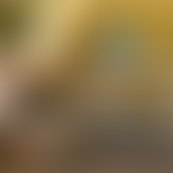  Tribunais se unem para formular metas do Poder Judiciário para 2025