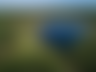 MS entra em nova era da celulose com megafábricas que vão investir mais de R$ 34 bilhões