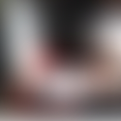 Primeiro ano de ProPatinhas e SinPatinhas tem 1,3 milhão de cães e gatos registrados em 98,3% dos municípios