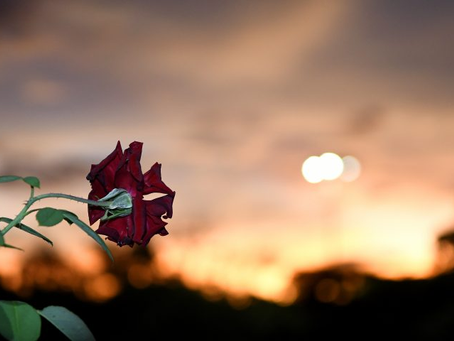 Instabilidade, com sol e chuva, marca a sexta-feira em Mato Grosso do Sul