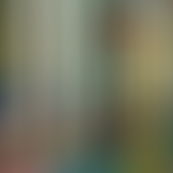 Organizações denunciam à ONU fome e violação de direitos em presídios