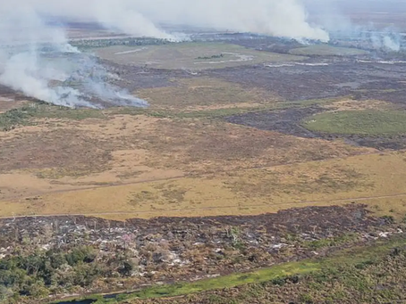 Emissão de gases por incêndios é recorde em dois estados
