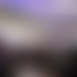 Câmara aprova projetos e indica melhorias para bairros de Dourados na 29ª Sessão Ordinária