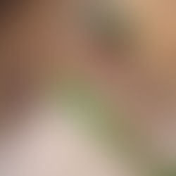 Angela Ximenes, de Dourados, conquista título de Miss mais jovem do Brasil