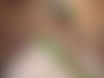 Angela Ximenes, de Dourados, conquista título de Miss mais jovem do Brasil