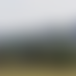 Gestão divulga calendário de feriados e pontos facultativos em 2025