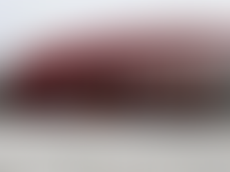 Bioparque Pantanal celebra primeiro ano com evento de pesquisa e tecnologia