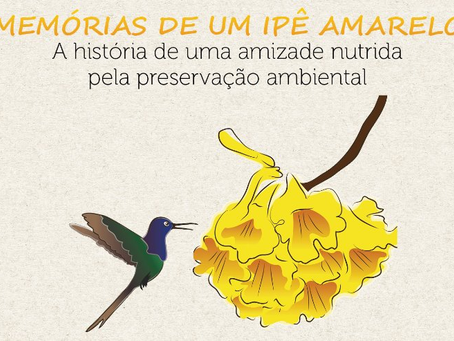 Livro narra a saga de um beija-flor e um ipê na luta contra o fogo no Pantanal
