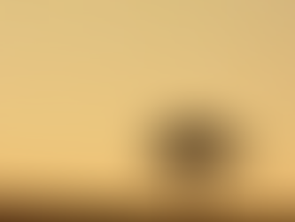 Com tempo seco, sol e pouca nebulosidade são destaques na previsão deste sábado em MS