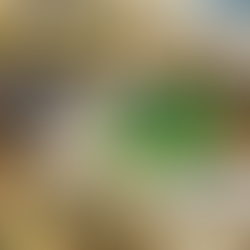 UEMS realiza oficina de armadilhas contra o Aedes aegypti e fortalece mobilização estadual