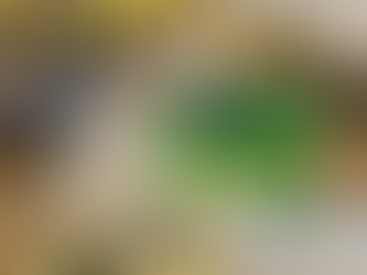 UEMS realiza oficina de armadilhas contra o Aedes aegypti e fortalece mobilização estadual